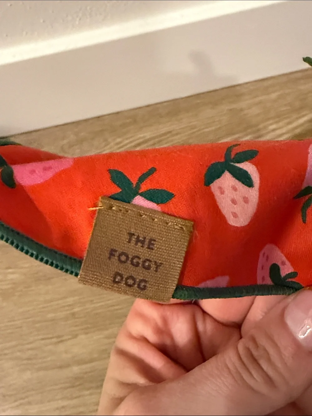 Foggy dog Strawberry Print Red Bandana and bag Pouch Set
